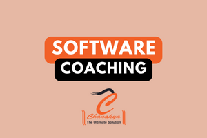 Software Coaching
